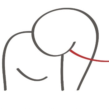 Loxodon Consulting